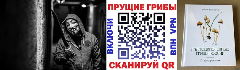 mega как зайти  Берёзовский  Псилоцибиновые грибы GOLDEN TEACHER 